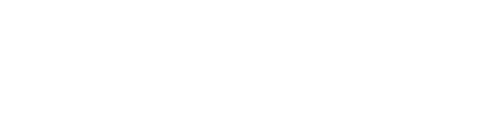 logo dwghoki